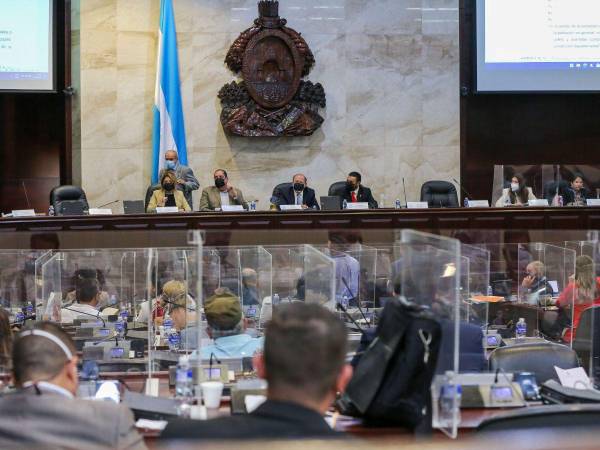 Diputados están obligados a aprobar el proyecto de Presupuesto General de la República