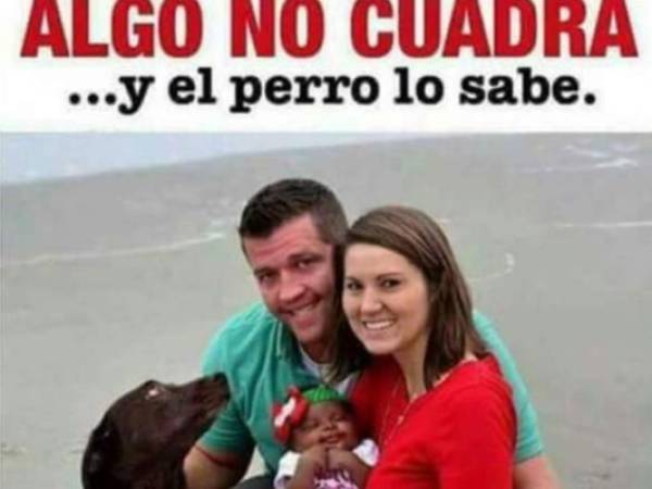 Algo no cuadra... y el perro lo sabe