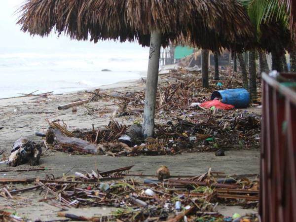 La playa municipal de Tela se encuentra llena de basura y maleza.