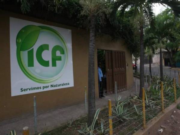 Las autoridades del ICF ya denunciaron a las autoridades el desfalco en las finanzas de la institución