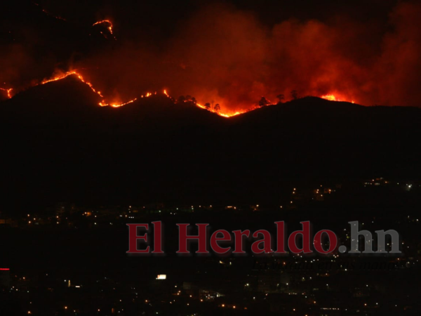 Varias hectáreas de bosque se han reducido a cenizas por el voraz incendio.