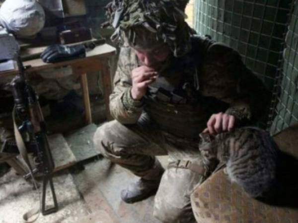 Un soldado ucraniano acaricia a un gato el 9 de enero de 2022 en Avdivka, en la línea de frente con los separatistas. Foto: AFP