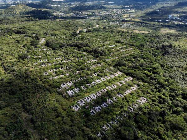 Esta es una vista aérea de cómo se encuentran las casas construidas en la actualidad, la maleza ya superó la altura de la mayoría de las residencias.