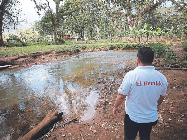 La figura del Parque Los Naranjos, en el municipio de Santa Cruz de Yojoa, fue creada mediante el decreto legislativo 152-91 e inaugurado de manera formal al público el 7 de septiembre de 2001.