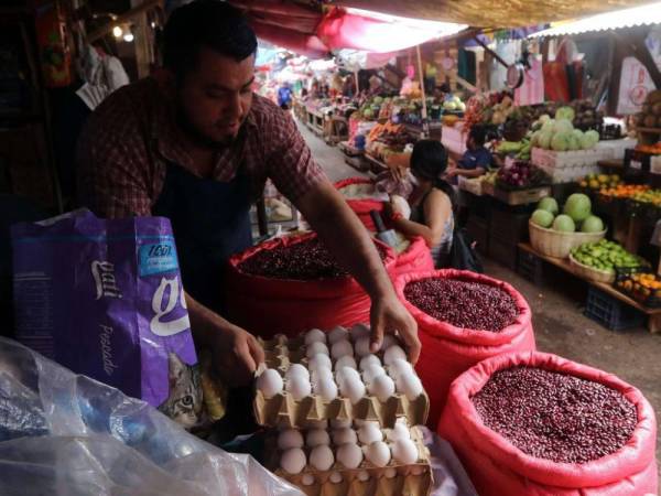 A partir de 2019 y a nivel de Centroamérica, Guatemala y Honduras tienen la canasta básica alimenticia más cara que a noviembre de 2023 superaba los 489 dólares.