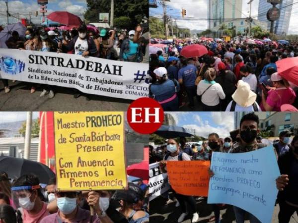 Cerca de seis mil docentes que laboran a nivel nacional y que pertenecen al Programa Hondureño de Educación Comunitaria (Proheco) se movilizaron hasta Tegucigalpa para realizar una protesta y solicitar varios derechos laborales. A continuación te mostramos cómo se desarrolló la jornada y cuáles son las exigencias. Fotos: David Romero/ EL HERALDO