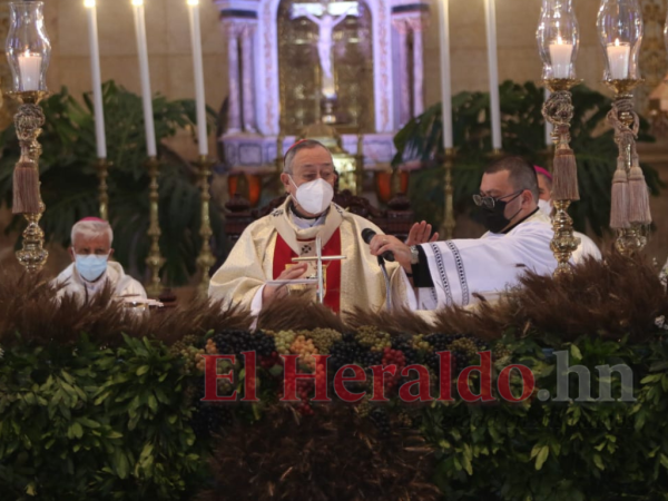 El retiro del cardenal Óscar Andrés Rodríguez sería hasta diciembre cuando cumple 80 años.