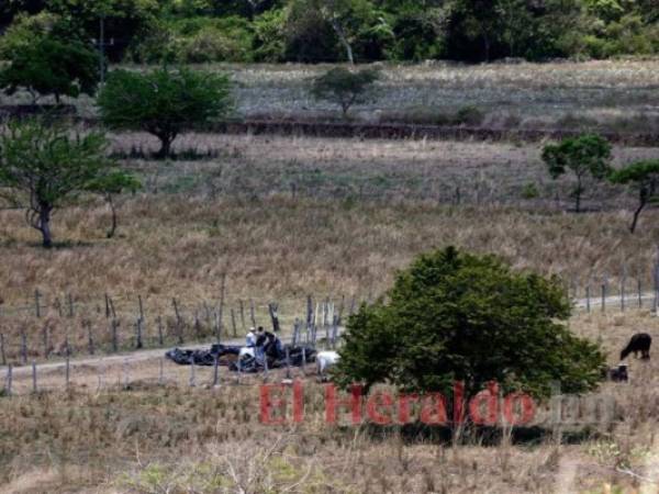 Cuatro municipios son los primeros en tener inversionistas para las famosas ZEDE.