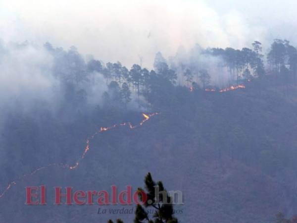 Aproximadamente 298 hectáreas fueron las que se quemaron el día del incendio en La Montañita, de acuerdo con el Instituto de Conservación Forestal (ICF). Foto: Jimmy Argueta/EL HERALDO