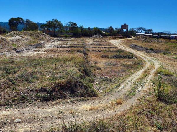 En estos predios vivirán unas 200 familias y la municipalidad comenzará con la construcción de carreteras.