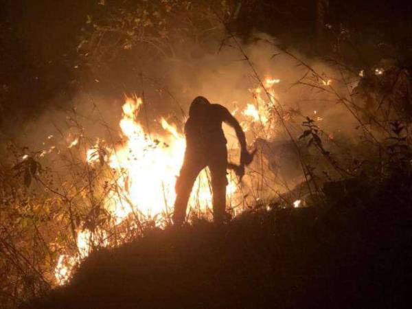 Los bomberos ya tienen cuatro meses en el combate de las infernales llamas para evitar que consuman más del bosque hondureño.