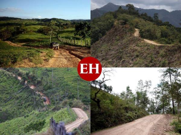 La Biósfera del Río Plátano es considerada el pulmón de Centroamérica, pues en ella se encuentran miles de especies de flora y fauna, además de aguas cristalinas que convierten a Honduras en un paraíso natural. Sin embargo, poco a poco, la mano destructiva del hombre ha incidido a tal punto que ahora la vasta vegetación se ve dividida por una enorme carretera que se asemeja a una vena abierta, por donde sangre la selva hondureña, ante la vista y paciencia de las autoridades.