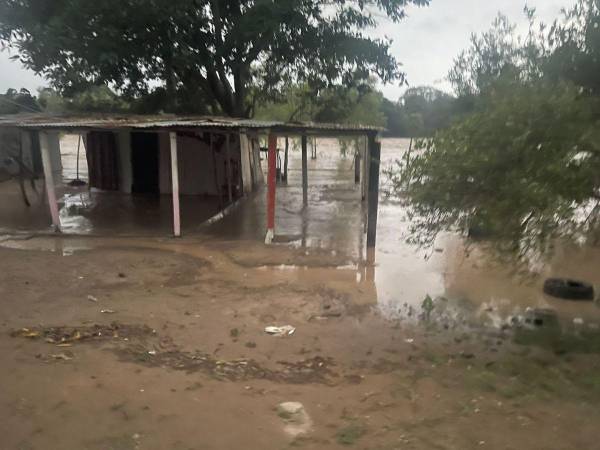 Fuertes lluvia han provocado la crecida del caudal de los ríos y quebradas en La Ceiba.