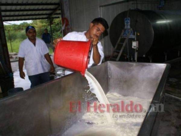 La Policía desalojó el jueves a los ganaderos, sin embargo, continúan apostados en el sector de Limones, Olancho.