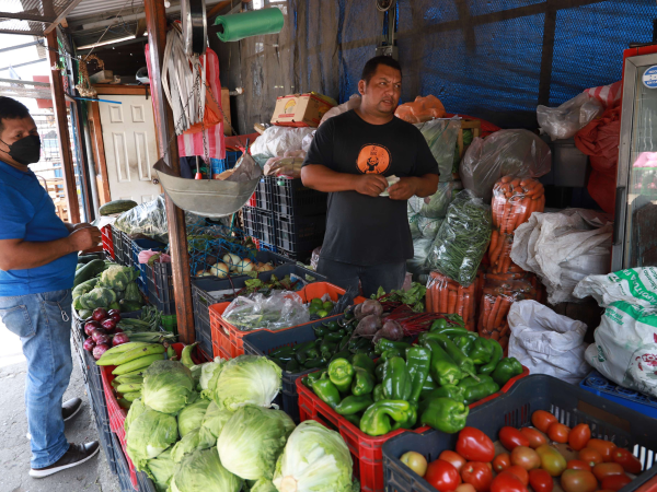 De los alimentos que subieron de precio, las verduras, tubérculos y frutas son las que más sufrieron el alza en los mercados.