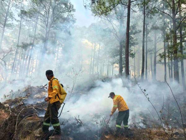 Los cuerpos de socorro trabajaban ayer en labores de sofocación del fuego en la zona boscosa de La Libertad.