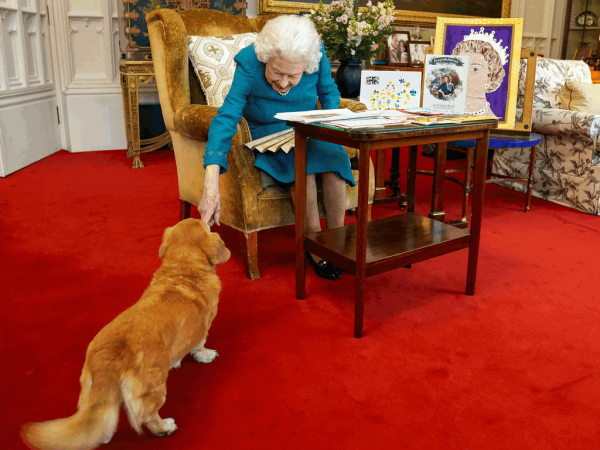 En esta imagen de archivo publicada en Londres el 4 de febrero de 2022 y tomada el mes pasado, se muestra a la reina Isabel II de Gran Bretaña acariciando a Candy, su perro corgi.