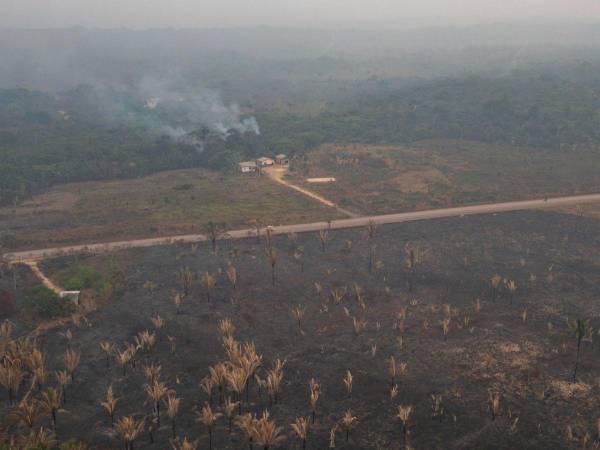 En veinte municipios Amazónicos se concentran el 85% de los incendios forestales.