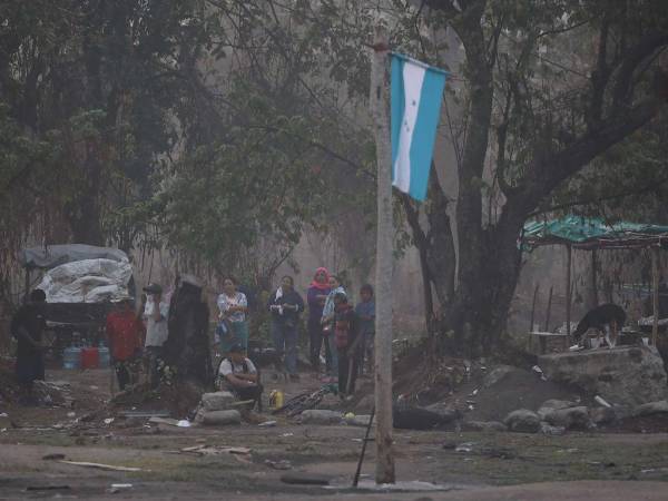 Las autoridades tienen la tarea de recuperar legalmente unas 36,000 manzanas de tierra en poder de invasores en el país.