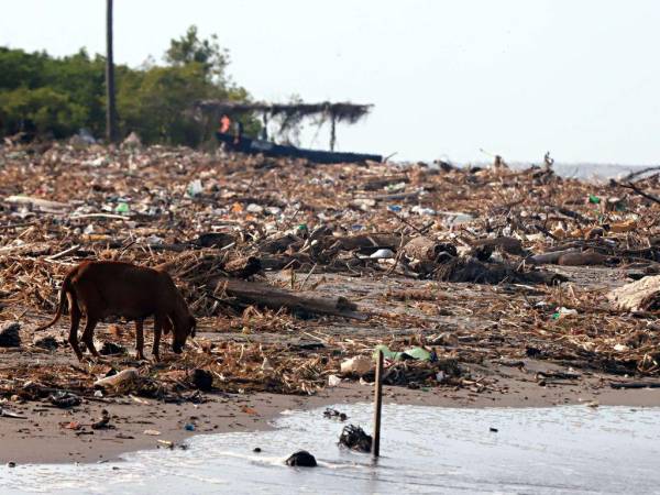 Las playas de Omoa se llenan de desechos a pesar de ser limpiadas a diario por los negocios que hasta deben presupuestar la acción.