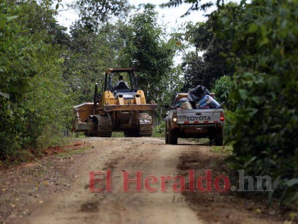 En el recorrido de este rotativo se constató fácilmente la apertura de nuevas brechas y extensiones a partir de la carretera ilegal.