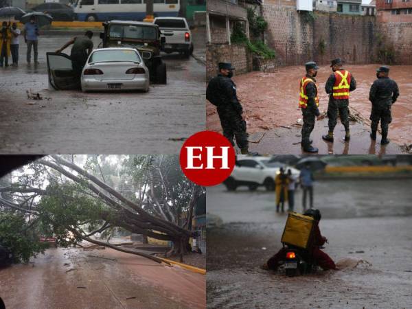 Más de una hora llovió este sábado sobre la capital de Honduras, dejando en evidencia, una vez más, la fragilidad de la principal ciudad del país. Decenas de vehículos quedaron atrapados en medio de bulevares y calles inundados, árboles derribados y ríos crecidos fue el saldo de varios minutos de lluvia. Aquí las imágenes.