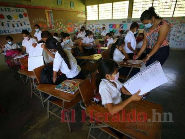 Durante el confinamiento los educandos y alumnos han logrado establecer lazos de comunicación afectivos lo que ha logrado avances positivos. Foto: El Heraldo