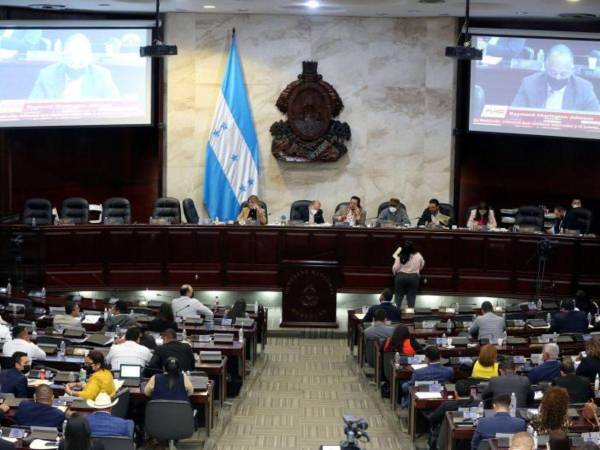 La comisión de finanzas del Congreso Nacional anunció el martes la llegada del dictamen a la cámara legislativa.