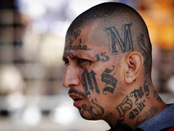 La Mara Salvatrucha o MS-13 funciona como una federación de 'clicas' o unidades, algunas más grandes y violentas que otras. Todas deben lealtad a la pandilla, pero cada una tiene su propio jefe y funciona de manera diferente, explica el salvadoreño Héctor Silva, de Insight Crime, un centro de investigación sobre el crimen organizado en Latinoamérica con sede en Washington.