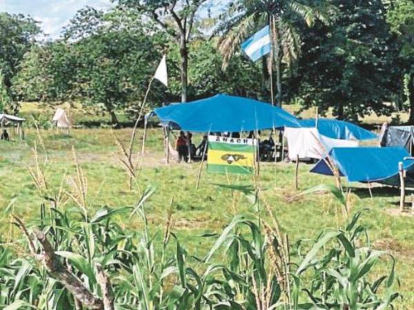 Más de una semana lleva un grupo de unas cien personas apoyadas por la Anach en los terrenos del Fondo Ganadero de Honduras en Tela.