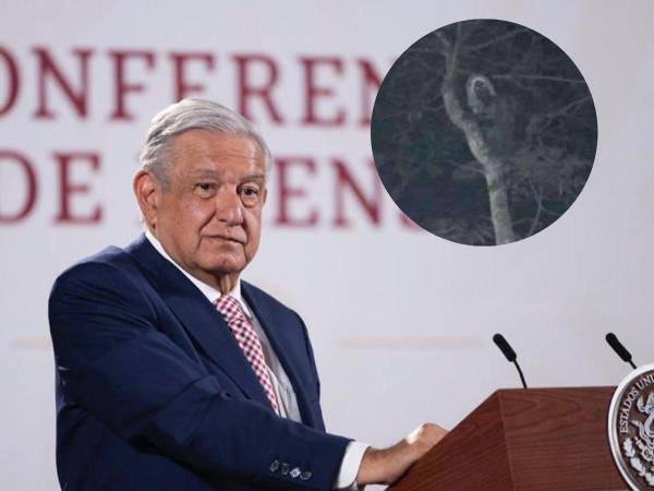 El presidente de México, Andrés Manuel López Obrador, publicó una terrorífica imagen en Twitter.