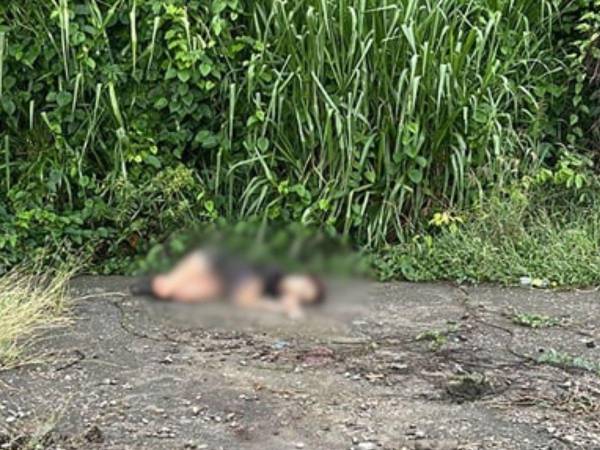 La joven fue encontrada cerca de una zacatera a la orilla de la carretera.