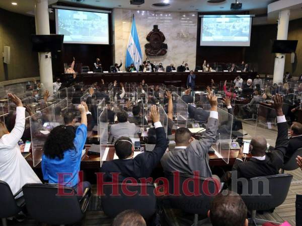 Dentro de la agenda de la sesión del martes pasado se habría agregado la aprobación de la Ley del CNDS, pero debido a la falta de quórum y acuerdos fue suspendida.