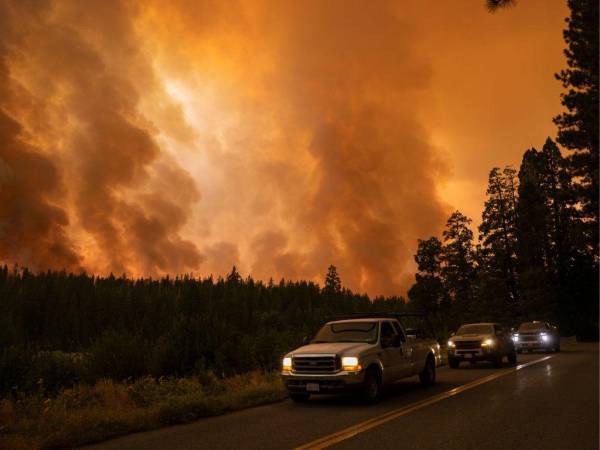 l bosque es incinerado por el incendio de Oak cerca de Midpines, al noreste de Mariposa, California, el 23 de julio de 2022.