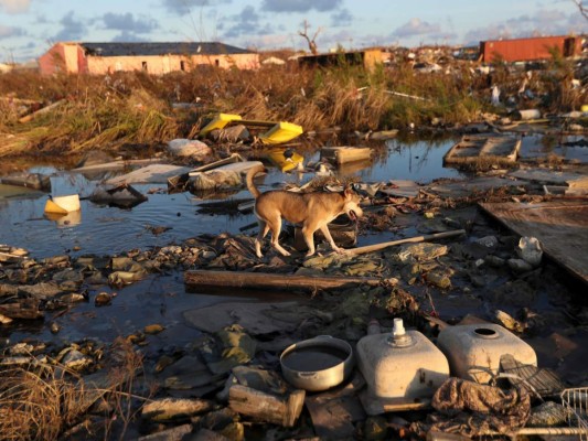 Más de una semana después de haber sido devastada por el huracán Dorian, el norte de Bahamas sigue en el caos.