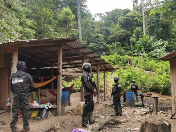 Miembros del ejército llevaron a cabo la operación en el departamento de Colón.