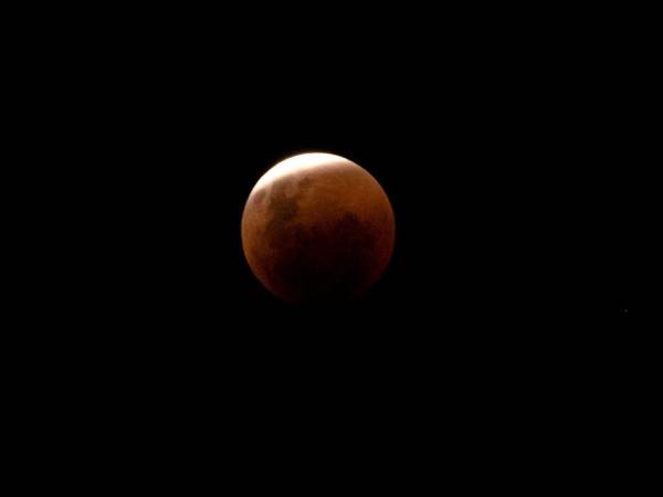 El próximo eclipse total de Luna se producirá en noviembre, en pleno océano Pacífico.