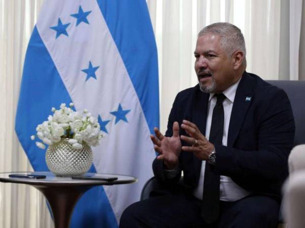 El canciller de Honduras, Enrique Reina, señaló que hay grupos políticos que andan buscando desestabilizar al país.