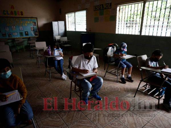 Los departamentos de Yoro e Islas de la Bahía presentan las tasas más altas de deserción escolar en el país, según las cifras oficiales.