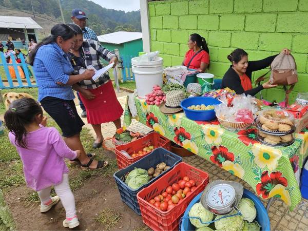 El programa fomenta una mayor sostenibilidad en la producción agrícola, como el café y otros cultivos tradicionales.