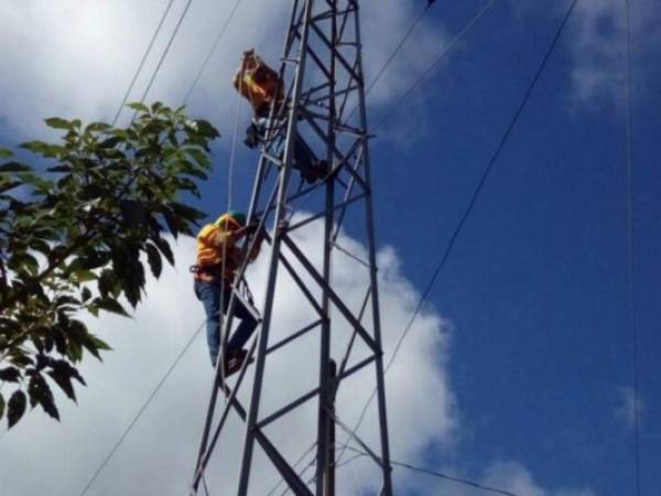 Las cuadrillas de la EEH realizarán los trabajos de mantenimiento.