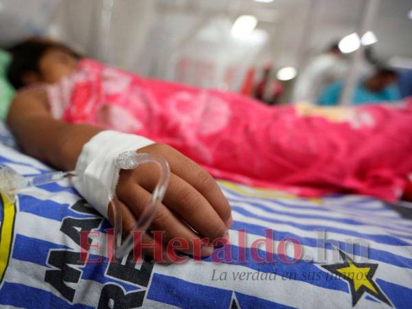 Hasta la fecha se contabilizan seis fallecimientos por dengue. Las hospitalizaciones por la enfermedad siguen aumentando.