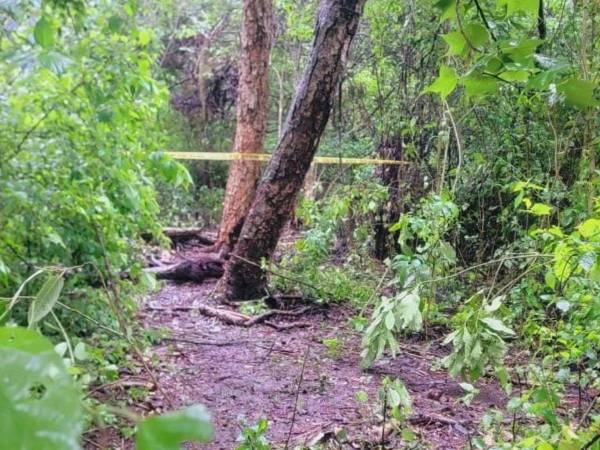 La lluvia, lo boscoso de la zona y el difícil acceso es la montaña entre Tatumbla y El Zamorano, donde fueron encontrados sin vida los cuerpos de los cinco jóvenes que fueron raptados el domingo cuando realizaban una mudanza desde la Residencial Honduras hacia la colonia Mirador de Oriente.