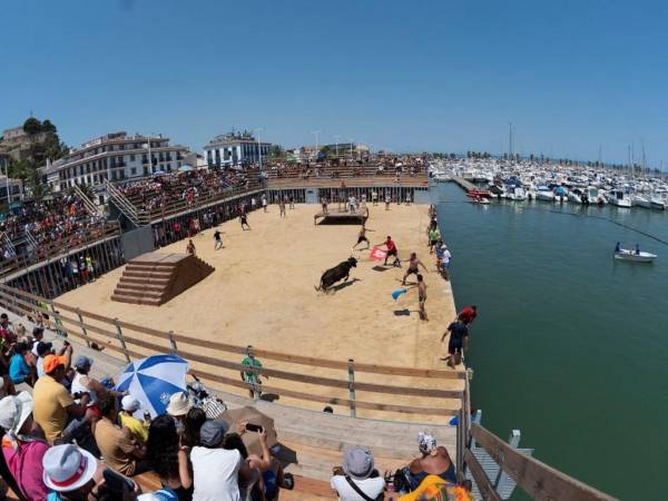 En Valencia y en el sur de Cataluña, zonas aledañas, los “bous” gozan de enorme popularidad, y no hay prácticamente pueblo que no suelte toros por las calles para divertimento de la gente. Además, existen los “bous a la mar”.