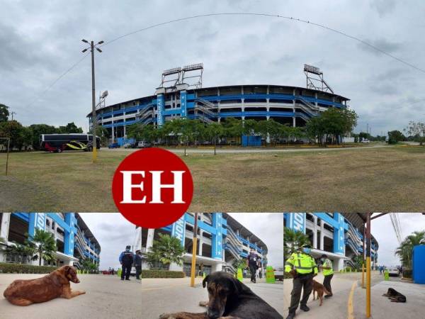 Bajo las nubes grises, ante la ausencia de la afición y con algunos caninos callejeros enfrente del estadio Olímpico de San Pedro Sula se vive la previa del partido eliminatorio entre Honduras vs. México. Aquí te dejamos las imágenes del recinto deportivo que está colmado de silencio a menos de dos horas del arranque del duelo.