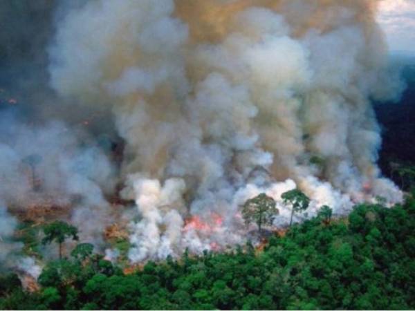 Bolsonaro dijo el miércoles que las organizaciones sin fines de lucro, cuyos presupuestos han sido recortados, podrían estar provocando incendios. Fotos cortesía.