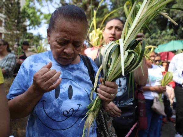 Este Domingo de Ramos se vivió con mucho fervor en la capital de Honduras. Estas son las imágenes de cómo los capitalinos celebraron el inicio de la Semana Santa 2024.