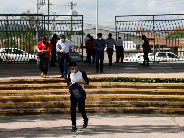 Las universidades deben orientar su formación profesional a las demandas actuales del mercado laboral.