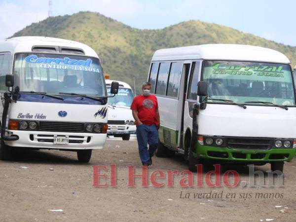 La postura de los transportistas comienza a consolidarse cada vez más, ya que ellos sostienen que por ley el incremento debe efectuarse de forma inmediata.