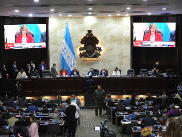 La discusión previo a someter a votación la aprobación del préstamo contó con la exposición de la ministra de Salud, Carla Paredes, así como de los diputados que son médicos.